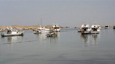 التحالف العربي يعلن مقتل وإصابة 6 صيادين مصريين بلغم لـ