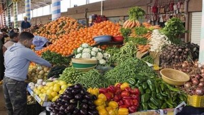 شعبة الخضراوات: استقرار الأسعار في الأسواق بسبب زيادة المعروض