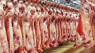 إغلاق محل جزارة لذبحه خارج السلخانة بكفر الشيخ