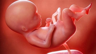 أسباب اللجوء لمنظار البطن التشخيصي