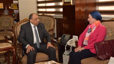 وزيرا التنمية المحلية والبيئة يبحثان مواجهة مشكلة المقالب العشوائية