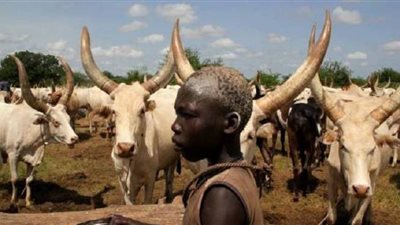 بعد نفي السودان وجودها داخل أراضيه.. ما هي حمى الوادي المتصدع؟