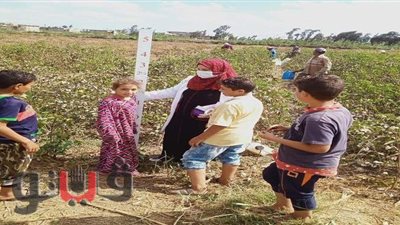 صحة الشرقية: تجريع ٣٩٥٦٣ مواطنا بالحملة القومية ضد  البلهارسيا