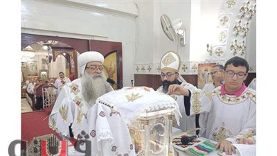 كنيسة الشهيدة دميانة تحتفل بعيد تأسيس إيبارشية دشنا | صور