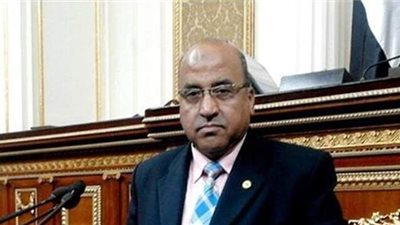 نائب يتوقع إجراء انتخابات المحليات في 2021