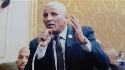 برلماني يطالب المواطنين بالالتزام بإجراءات مواجهة كورونا في انتخابات النواب