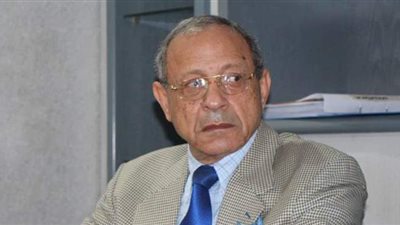 رئيس الحركة الوطنية: نأمل أن تجرى انتخابات المحليات فى 2021