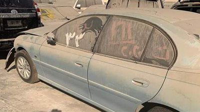 الإجراءات والشروط المطلوبة للدخول في مزاد سيارات جمارك مطار القاهرة