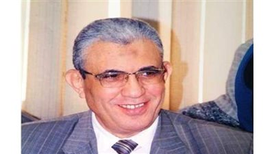 عبد الفضيل: استراتيجية هيكلة مصلحة الجمارك ترفع موارد القطاع