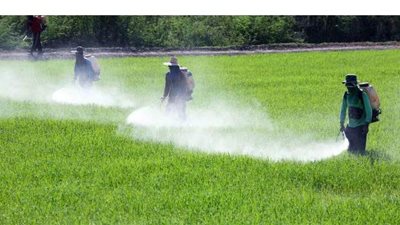 الزراعة: مصر تدخل عصر البيئة النقية بعد التخلص من 1000 طن مبيدات ضارة | فيديو