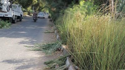حملة نظافة على المسار السياحي وكوبري الجبيل في الأقصر | صور