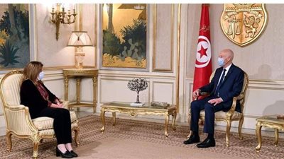 رئيس تونس: وحدة ليبيا ورفض التدخلات أسس الحل