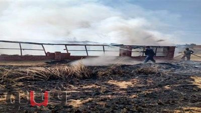 حريق هائل يلتهم مزرعة دواجن بزفتى في الغربية | صور