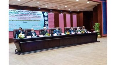 وزير الأوقاف: الإسلام يدعم البحث العلمي الجاد في جميع المجالات