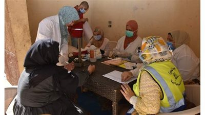الخشت: الكشف الطبى على 259 مواطنًا.. وتحويل بعض الحالات للقصر العينى وعلاجها مجانًا