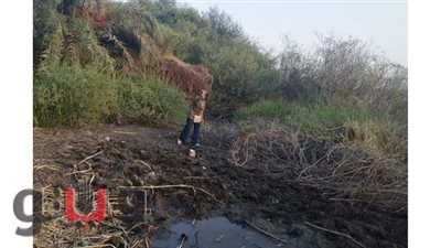 أهالي نجع الطينة بقنا: نطالب بعمل تكاسي لحماية منازلنا من نحر النيل | فيديو