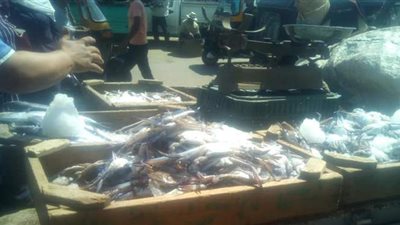 إعدام ٢ طن  أغذية في حملات بالدقهلية