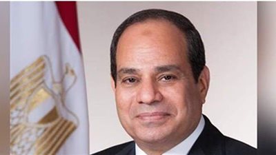 السيسي يكلف بحسن إدارة الطاقة الكهربائية وتعظيم الاستفادة منها بالاستهلاك المحلى أو التصدير