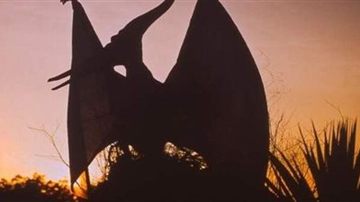 اكتشاف نوع جديد غريب من الديناصورات بحجم ديك رومي في المغرب