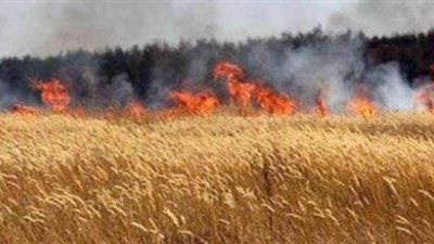 ٥ سيارات للسيطرة علي حريق منزل بطوخ