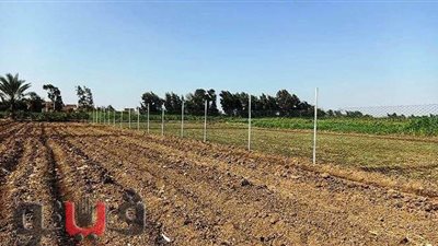 محافظ الشرقية لـ«رؤساء المدن»: الأرض الزراعية أمن قومى وغذائي