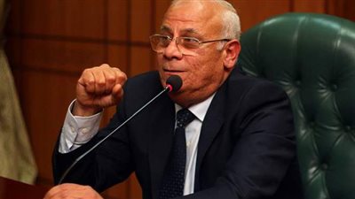 تنفيذي بورسعيد: تغيير اسم شارع البترول لنهضة مصر.. وإطلاق اسم الشهيد جاويش على آخر