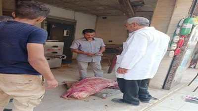 ضبط لحوم مذبوحة خارج المجزر بالقليوبية