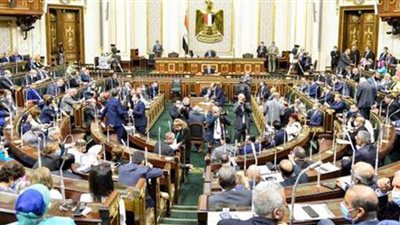 نواب يطالبون المواطنين بالمشاركة الإيجابية فى انتخابات مجلس النواب