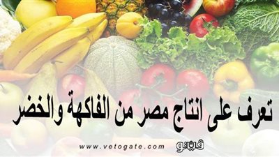 تعرف على إنتاج مصر من الفاكهة والخضر | إنفوجراف