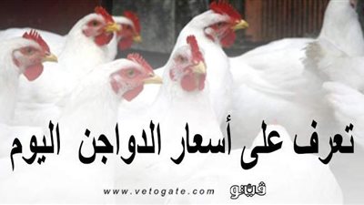 تعرف على أسعار الدواجن اليوم