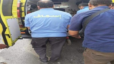 عامل يقتل شقيقته بسبب الخلافات الاسرية بالقليوبية