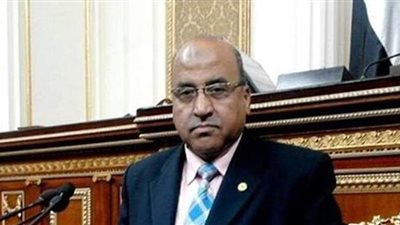 نائب: الالتزام بإجراءات مواجهة كورونا في انتخابات النواب مهم