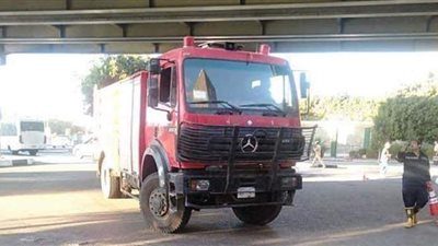 أمن القاهرة ينجح في إنقاذ قطة عالقة في كوبري الميرغني