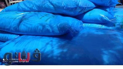 ضبط 19 طن مبيدات حشرية فاسدة داخل مخزن في الغربية