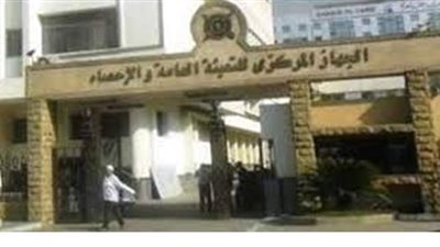 الإحصاء: 88.5% من الأسر المصرية تحت مظلة منظومة الدعم الغذائي