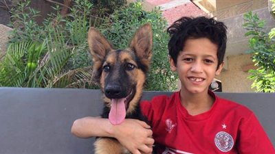 محقق فيتو يكشف تفاصيل قتل طفل أثناء دفاعه عن أرضه بكرداسة.. شقيقته: مات سندنا وكبير العائلة رغم صغر سنه.. وخاله يطالب بالقصاص | فيديو وصور