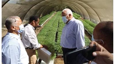 تدشين مشروع لإنتاج شتلات الخضر والفاكهة بالوادى الجديد