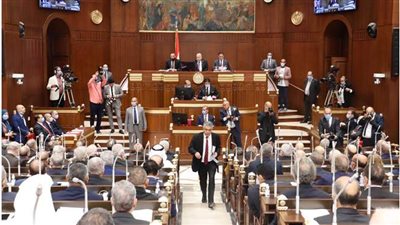 نواب مجلس الشيوخ يبدأون أداء اليمين الدستورية