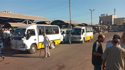 رئيسة مدينة دسوق بكفر الشيخ توفر 30 أتوبيسا لنقل طلاب الجامعة | صور