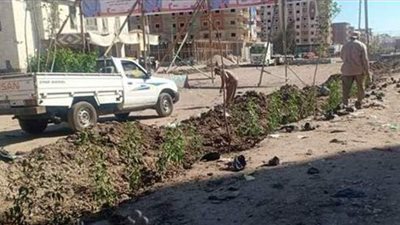 حملات للنظافة والتجميل ورفع كفاءة الإنارة العامة بكفر الشيخ | صور