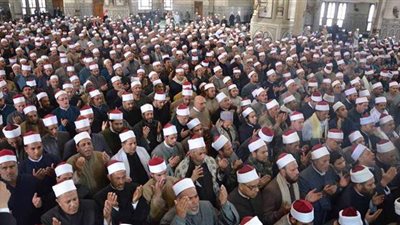 س و ج.. كل ما تريد معرفته عن مكافأة التميز العلمي لحملة الماجستير والدكتوراة بالأوقاف