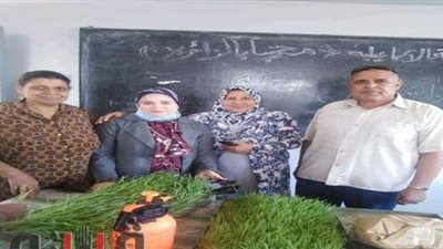 زراعة الإسماعيلية تعقد ندوة حول أهمية زراعة الشعير وقيمته l صور