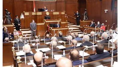 وزير المجالس النيابية: 