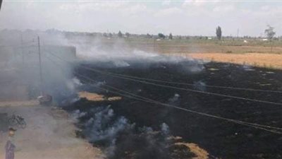 أهالي الدقهلية يشتكون من الأمراض الصدرية الناتجة عن حرق قش الأرز | صور