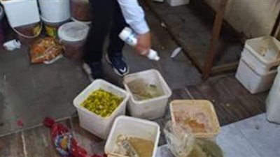 غلق 120 منشأة وإعدام 2.6 طن أغذية متنوعة و عصائر وألبان فاسدة بالدقهلية