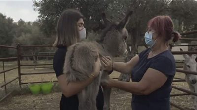 جلسات علاج بـ