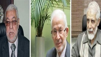 باحث: الإخوان يستغلون تجمعات المصريين في الخارج لاستقطاب أعضاء جدد