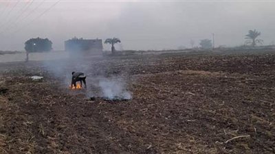 تحرير 45 محضر وغرامة فورية لمخالفي الاشتراطات البيئية في أسيوط