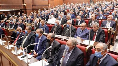 إجراءات إقرار  اللائحة الداخلية لمجلس الشيوخ