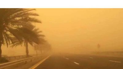 الزراعة تحذر من أمطار خلال أيام الأربعاء والخميس.. وتعلن توصياتها للمزارعين لتجنب آثار الطقس السيء